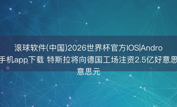 滚球软件(中国)2026世界杯官方IOS|Android手机app下载 特斯拉将向德国工场注资2.5亿好意思元