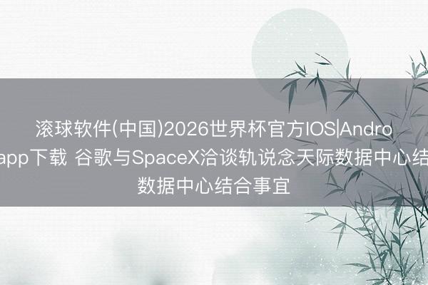 滚球软件(中国)2026世界杯官方IOS|Android手机app下载 谷歌与SpaceX洽谈轨说念天际数据中心结合事宜