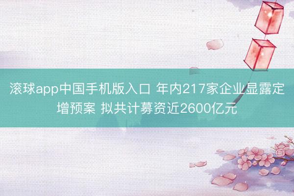 滚球app中国手机版入口 年内217家企业显露定增预案 拟共计募资近2600亿元