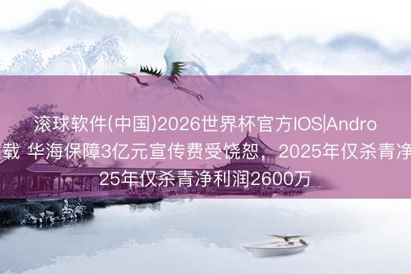 滚球软件(中国)2026世界杯官方IOS|Android手机app下载 华海保障3亿元宣传费受饶恕，2025年仅杀青净利润2600万