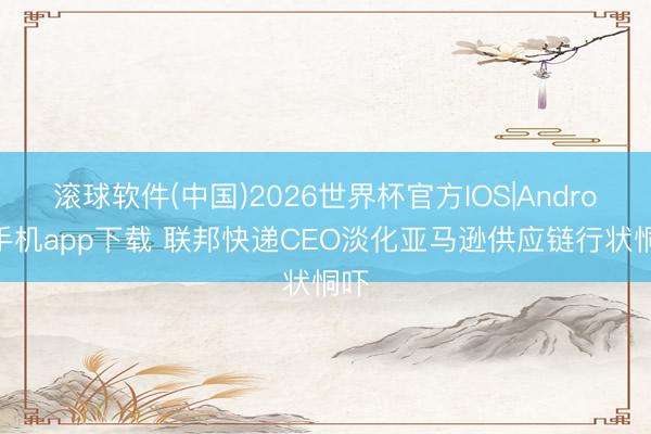 滚球软件(中国)2026世界杯官方IOS|Android手机app下载 联邦快递CEO淡化亚马逊供应链行状恫吓