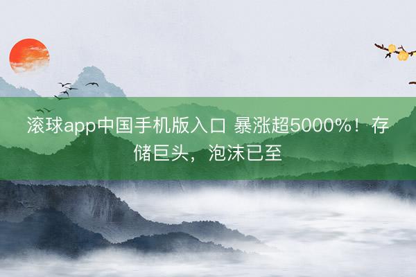 滚球app中国手机版入口 暴涨超5000%！存储巨头，泡沫已至
