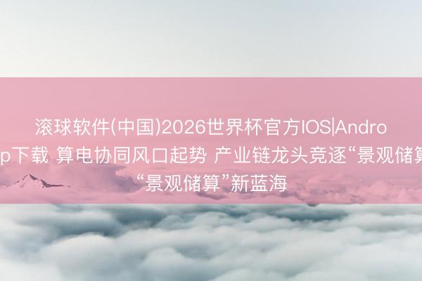 滚球软件(中国)2026世界杯官方IOS|Android手机app下载 算电协同风口起势 产业链龙头竞逐“景观储算”新蓝海