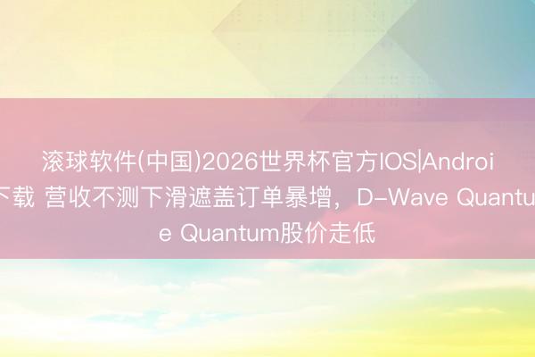 滚球软件(中国)2026世界杯官方IOS|Android手机app下载 营收不测下滑遮盖订单暴增，D-Wave Quantum股价走低