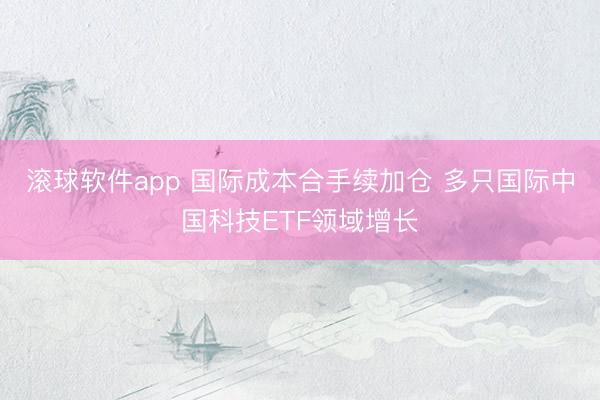 滚球软件app 国际成本合手续加仓 多只国际中国科技ETF领域增长