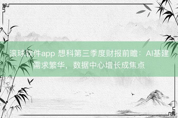 滚球软件app 想科第三季度财报前瞻：AI基建需求繁华，数据中心增长成焦点
