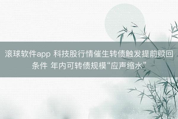 滚球软件app 科技股行情催生转债触发提前赎回条件 年内可转债规模“应声缩水”