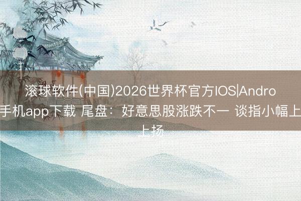 滚球软件(中国)2026世界杯官方IOS|Android手机app下载 尾盘：好意思股涨跌不一 谈指小幅上扬