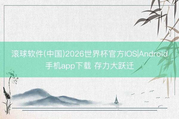 滚球软件(中国)2026世界杯官方IOS|Android手机app下载 存力大跃迁
