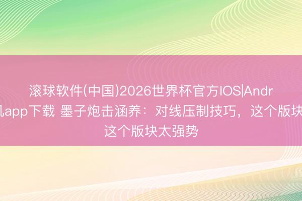 滚球软件(中国)2026世界杯官方IOS|Android手机app下载 墨子炮击涵养：对线压制技巧，这个版块太强势