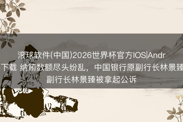 滚球软件(中国)2026世界杯官方IOS|Android手机app下载 纳贿数额尽头纷乱，中国银行原副行长林景臻被拿起公诉