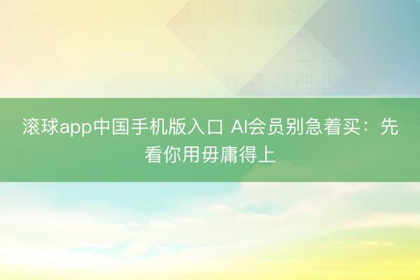 滚球app中国手机版入口 AI会员别急着买：先看你用毋庸得上