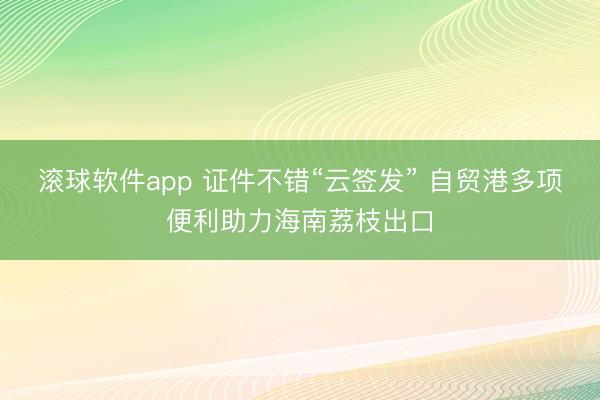滚球软件app 证件不错“云签发” 自贸港多项便利助力海南荔枝出口