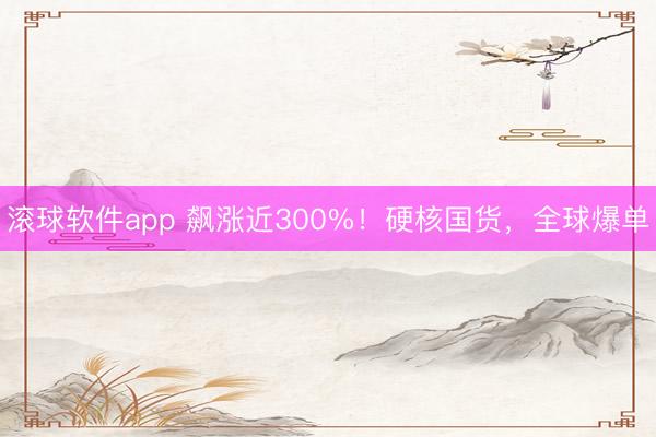 滚球软件app 飙涨近300%！硬核国货，全球爆单