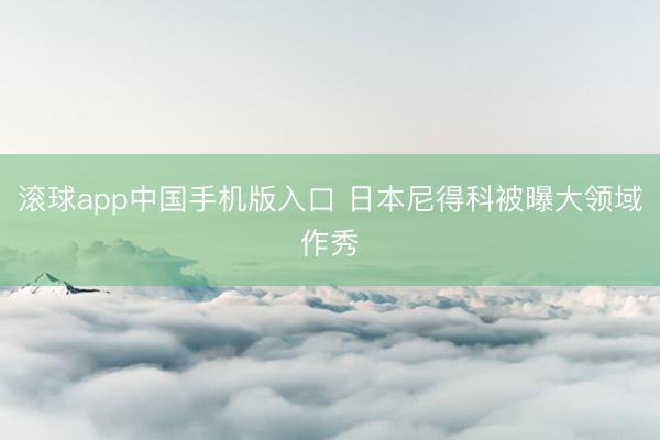 滚球app中国手机版入口 日本尼得科被曝大领域作秀