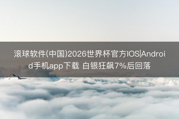 滚球软件(中国)2026世界杯官方IOS|Android手机app下载 白银狂飙7%后回落