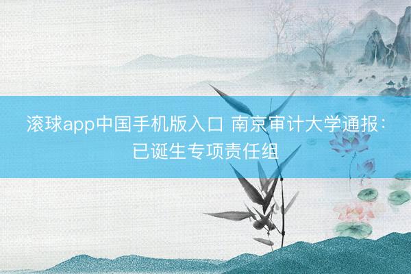滚球app中国手机版入口 南京审计大学通报：已诞生专项责任组