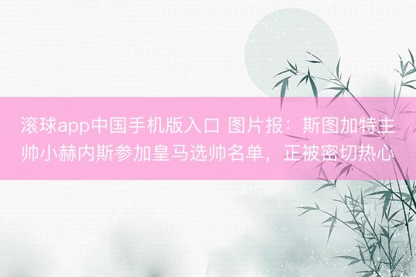 滚球app中国手机版入口 图片报：斯图加特主帅小赫内斯参加皇马选帅名单，正被密切热心