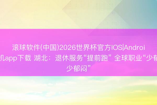 滚球软件(中国)2026世界杯官方IOS|Android手机app下载 湖北：退休服务“提前跑” 全球职业“少郁闷”