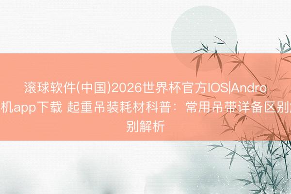 滚球软件(中国)2026世界杯官方IOS|Android手机app下载 起重吊装耗材科普：常用吊带详备区别解析