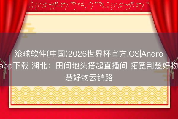 滚球软件(中国)2026世界杯官方IOS|Android手机app下载 湖北：田间地头搭起直播间 拓宽荆楚好物云销路
