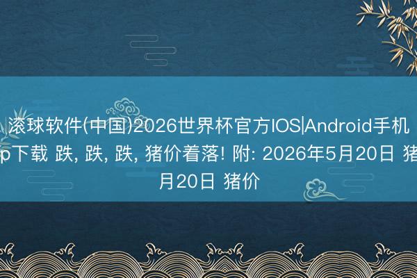 滚球软件(中国)2026世界杯官方IOS|Android手机app下载 跌， 跌， 跌， 猪价着落! 附: 2026年5月20日 猪价