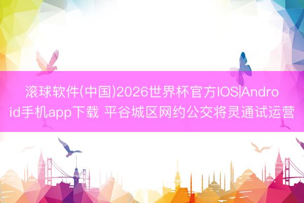 滚球软件(中国)2026世界杯官方IOS|Android手机app下载 平谷城区网约公交将灵通试运营