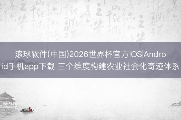 滚球软件(中国)2026世界杯官方IOS|Android手机app下载 三个维度构建农业社会化奇迹体系