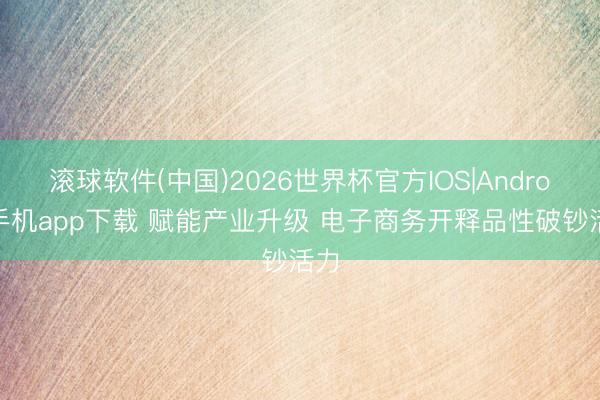 滚球软件(中国)2026世界杯官方IOS|Android手机app下载 赋能产业升级 电子商务开释品性破钞活力