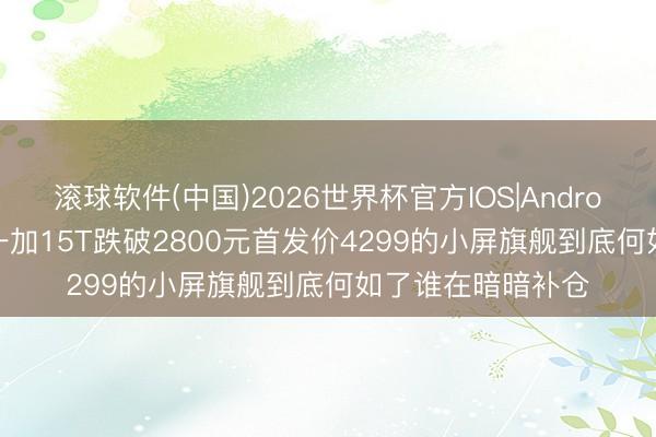 滚球软件(中国)2026世界杯官方IOS|Android手机app下载 一加15T跌破2800元首发价4299的小屏旗舰到底何如了谁在暗暗补仓