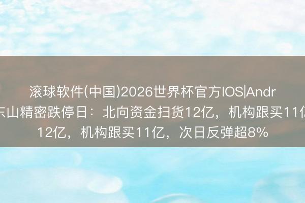 滚球软件(中国)2026世界杯官方IOS|Android手机app下载 东山精密跌停日：北向资金扫货12亿，机构跟买11亿，次日反弹超8%