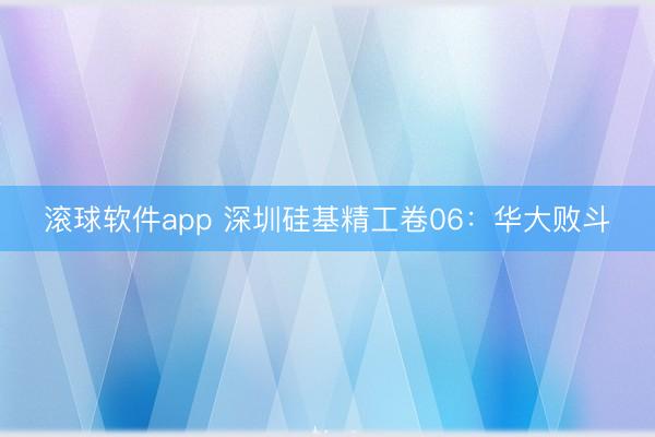 滚球软件app 深圳硅基精工卷06：华大败斗