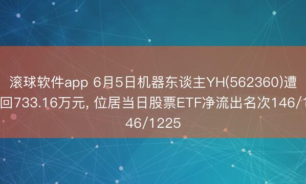 滚球软件app 6月5日机器东谈主YH(562360)遭净赎回733.16万元， 位居当日股票ETF净流出名次146/1225
