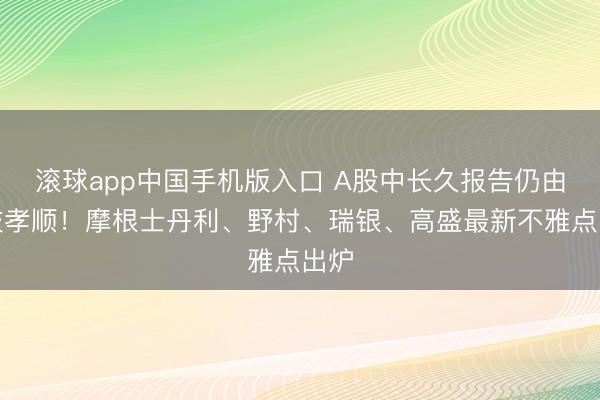 滚球app中国手机版入口 A股中长久报告仍由科技孝顺！摩根士丹利、野村、瑞银、高盛最新不雅点出炉